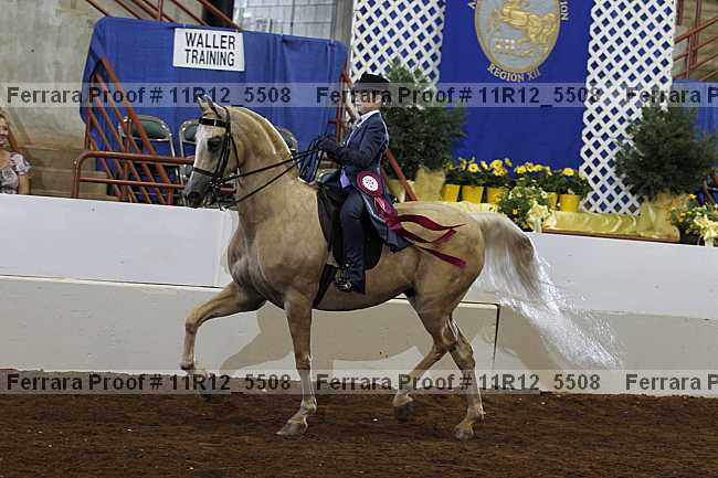 Proof Number 11r12_5508