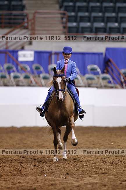 Proof Number 11r12_5512