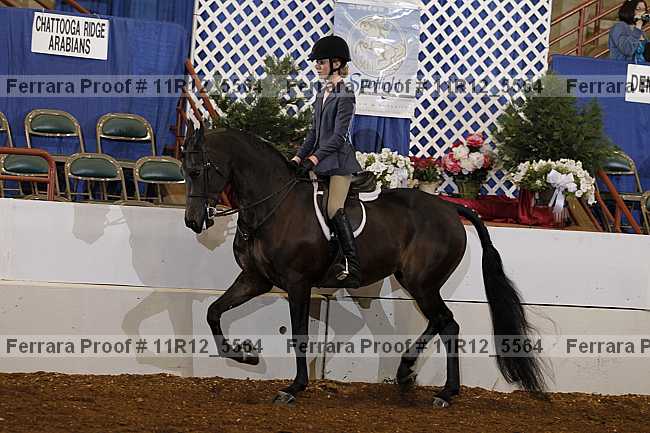 Proof Number 11r12_5564