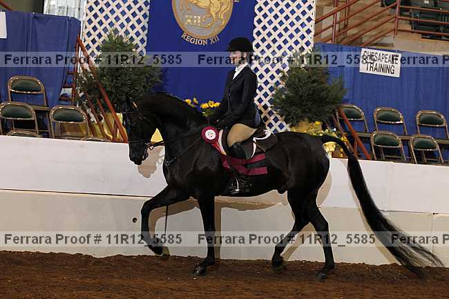 Proof Number 11r12_5585