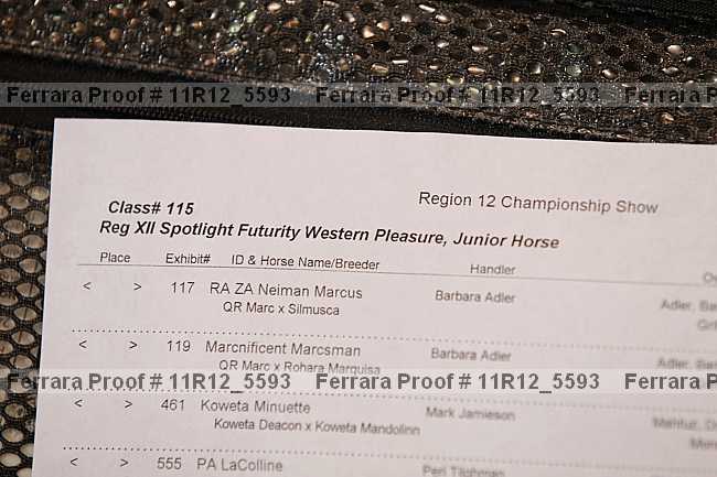 Proof Number 11r12_5593