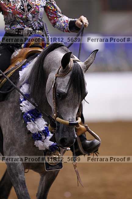 Proof Number 11r12_5639