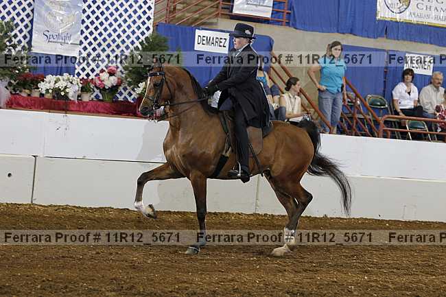Proof Number 11r12_5671
