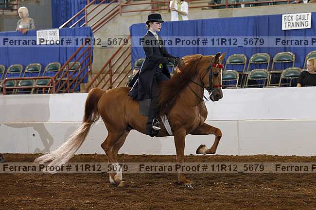 Proof Number 11r12_5679