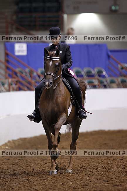 Proof Number 11r12_5696