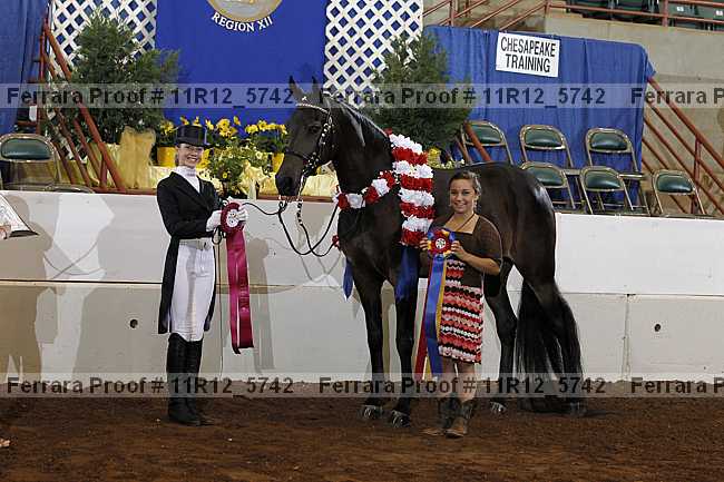 Proof Number 11r12_5742