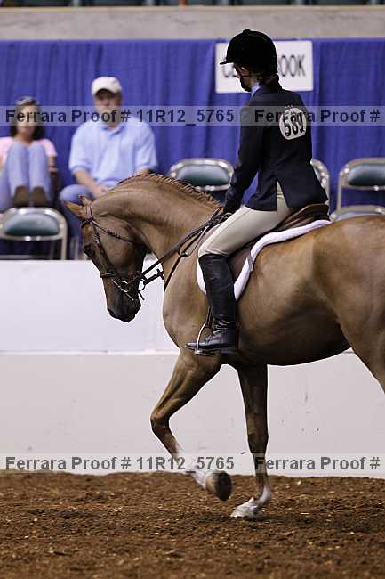 Proof Number 11r12_5765