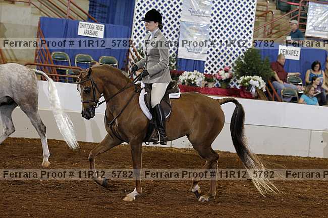 Proof Number 11r12_5782