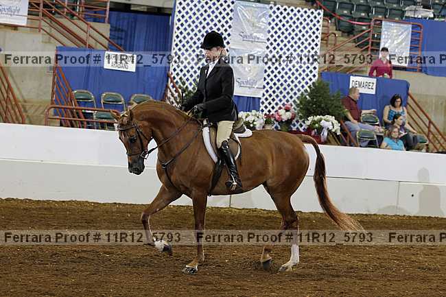 Proof Number 11r12_5793