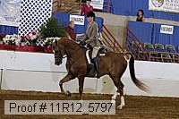 11r12_5797 thumbnail