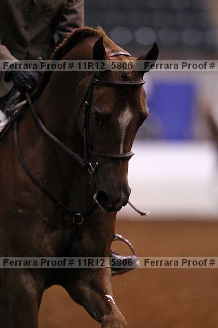 Proof Number 11r12_5806