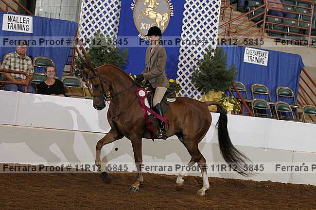 Proof Number 11r12_5845