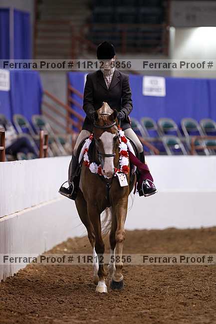 Proof Number 11r12_5856