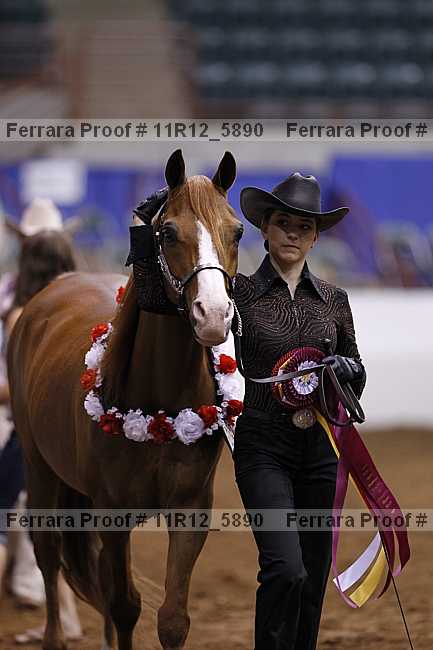 Proof Number 11r12_5890