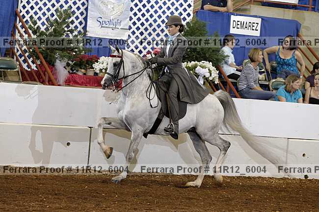 Proof Number 11r12_6004