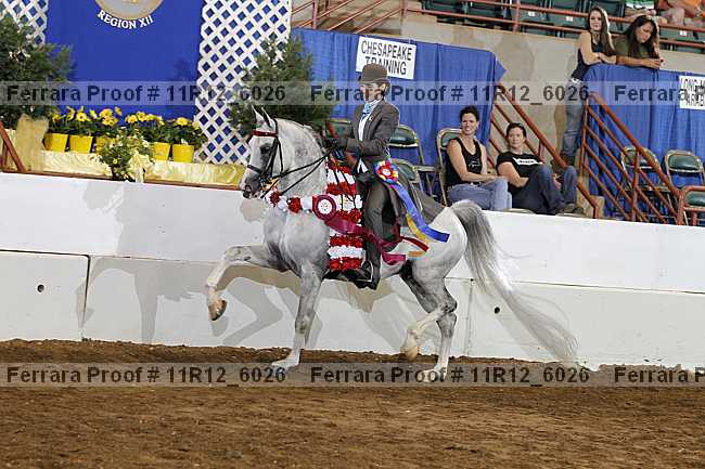 Proof Number 11r12_6026