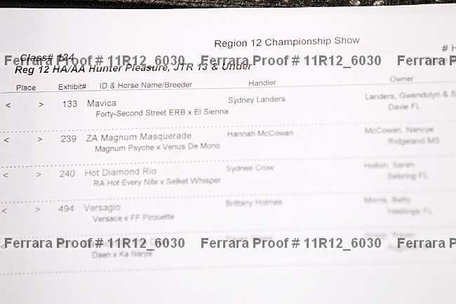 Proof Number 11r12_6030
