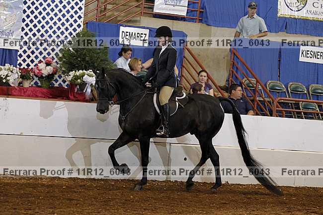 Proof Number 11r12_6043