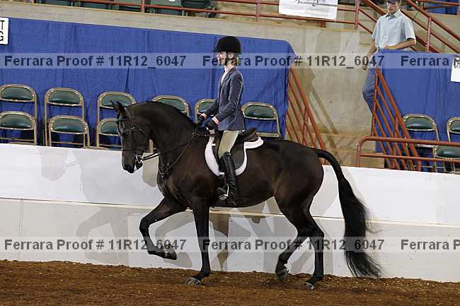 Proof Number 11r12_6047