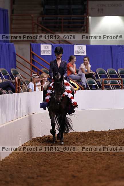 Proof Number 11r12_6079