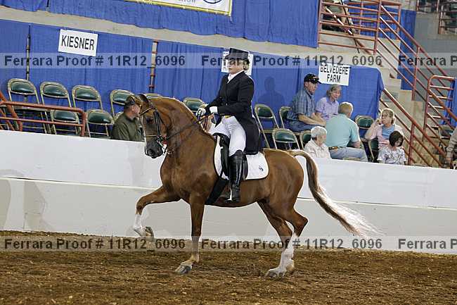 Proof Number 11r12_6096