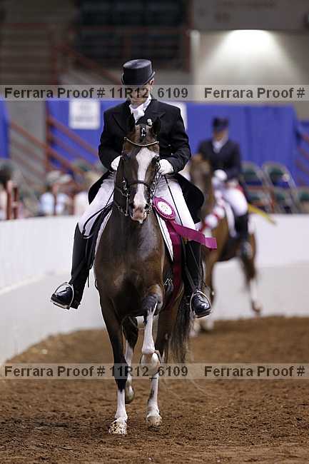 Proof Number 11r12_6109