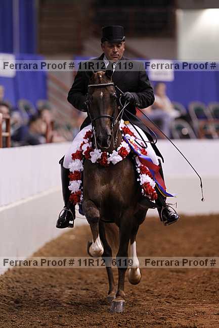 Proof Number 11r12_6119
