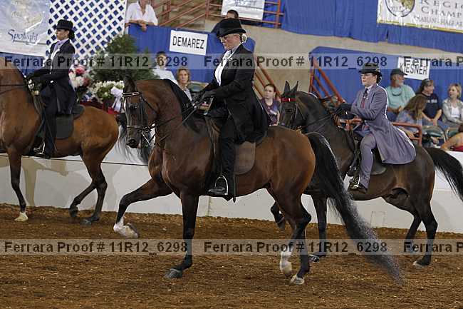 Proof Number 11r12_6298