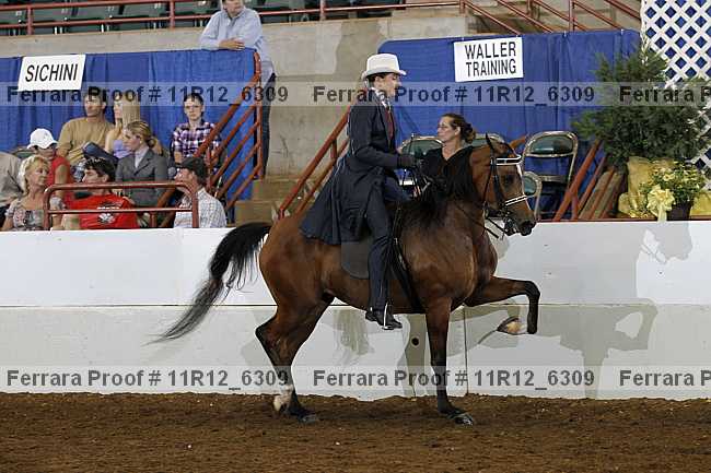 Proof Number 11r12_6309