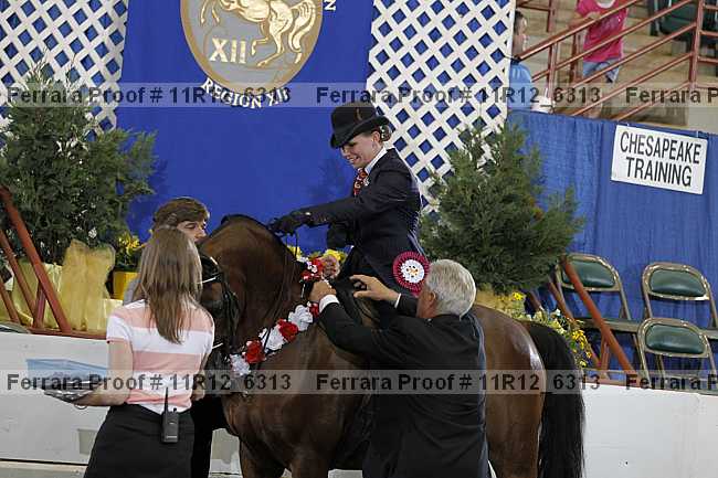 Proof Number 11r12_6313