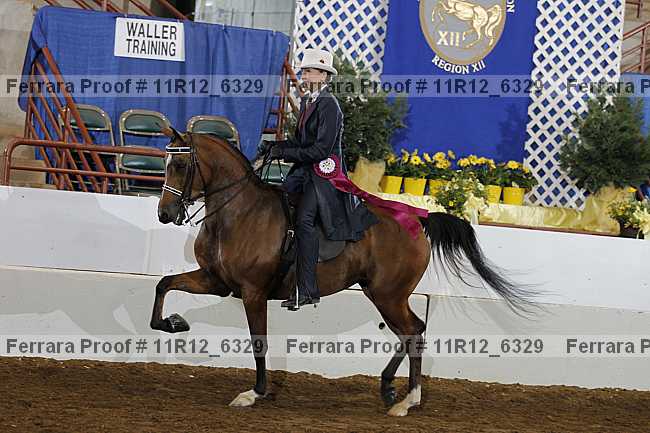 Proof Number 11r12_6329