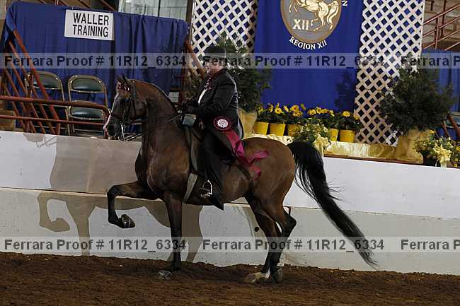 Proof Number 11r12_6334