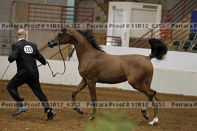 Proof Number 11r12_6353