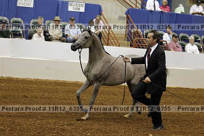 Proof Number 11r12_6355