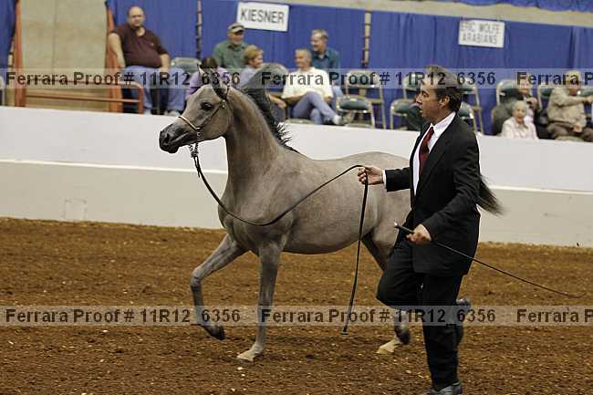 Proof Number 11r12_6356
