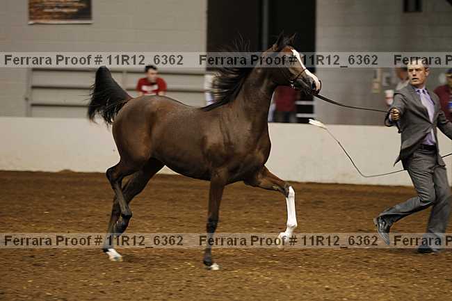 Proof Number 11r12_6362