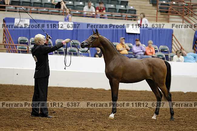 Proof Number 11r12_6387