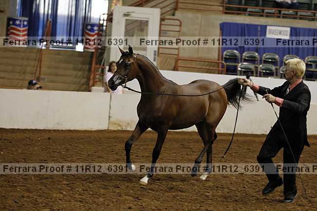 Proof Number 11r12_6391
