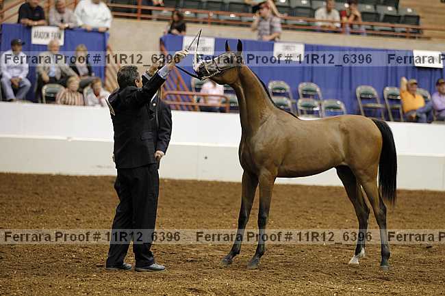 Proof Number 11r12_6396