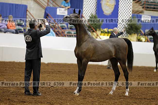 Proof Number 11r12_6399