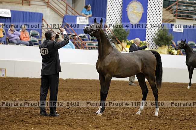 Proof Number 11r12_6400