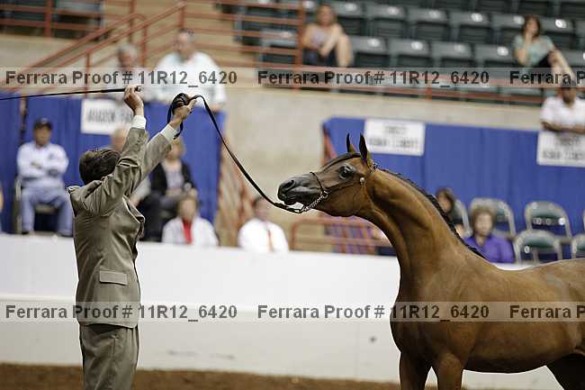 Proof Number 11r12_6420