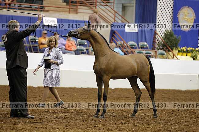 Proof Number 11r12_6433