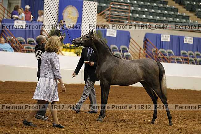 Proof Number 11r12_6447