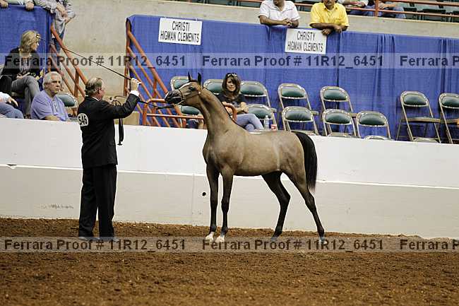 Proof Number 11r12_6451