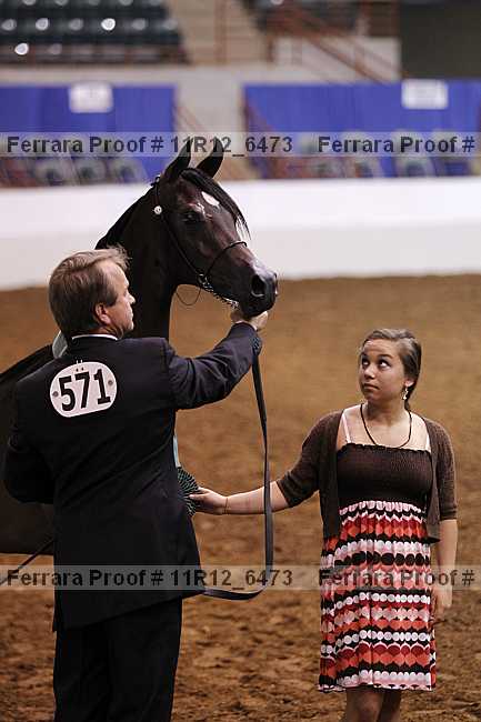 Proof Number 11r12_6473