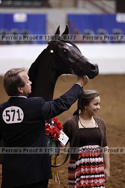Proof Number 11r12_6477