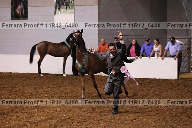 Proof Number 11r12_6480