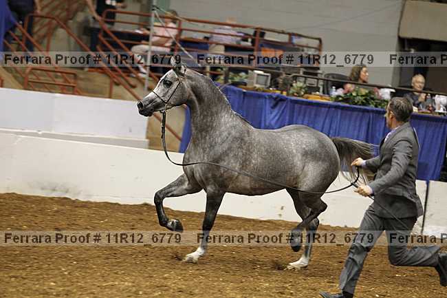 Proof Number 11r12_6779