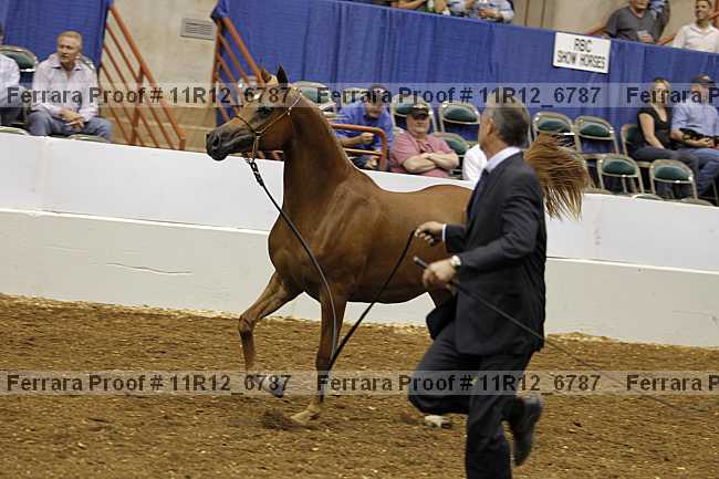 Proof Number 11r12_6787